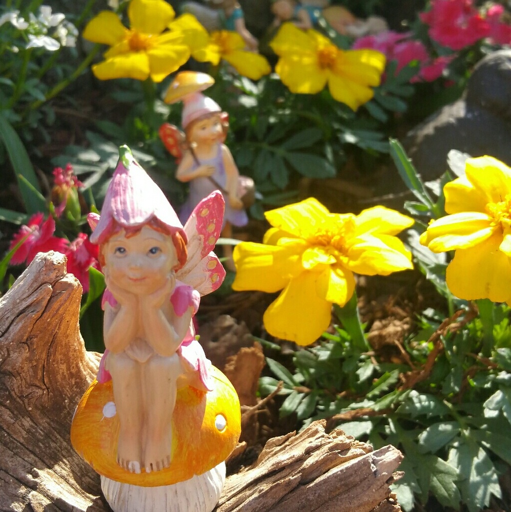 Meet your Posher, Jody