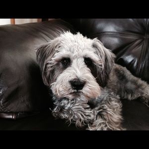 Meet your Posher, Mia