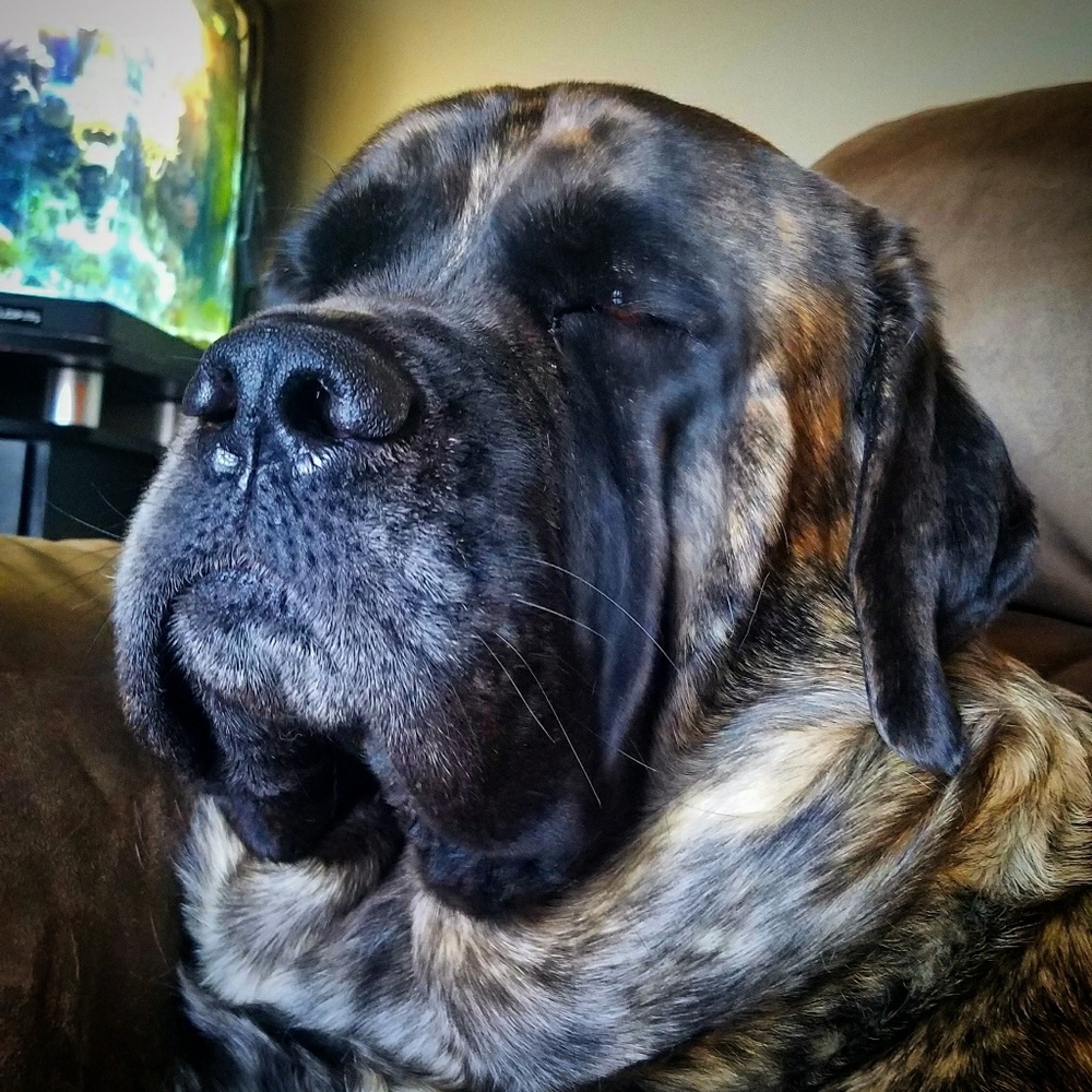 Meet your Posher, Cassy