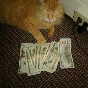 Meet your Posher, Sonny