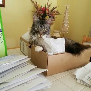 Meet your Posher, Lori