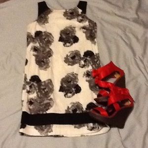 Black and White Rose