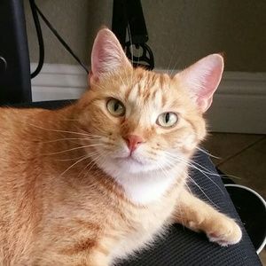 Meet your Posher, Kari