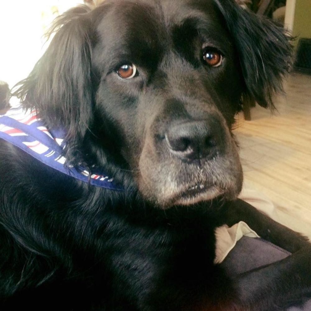 Meet your Posher, Jparker