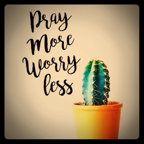 Meet your Posher, Anna - Picture 1 of 3