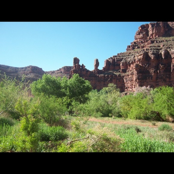 Meet your Posher, Katerina - Picture 5 of 5