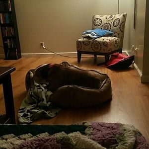 Meet your Posher, Jami