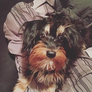 Meet your Posher, Shane