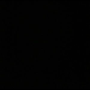 Meet your Posher, Diego