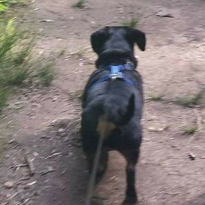 Meet your Posher, Zeba