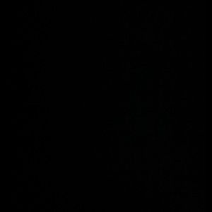 Meet your Posher, Jeanie