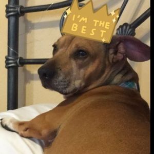 Meet your Posher, Michelle