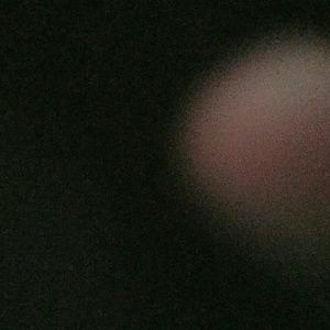 Meet your Posher, Bailey