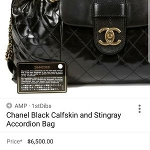 Channel accordion Stingray limited edition