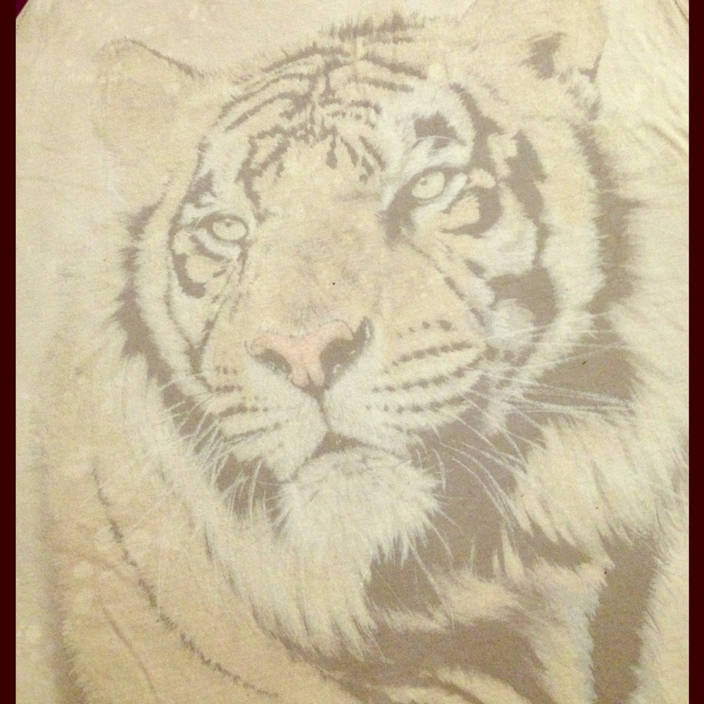 Distressed Tiger Tank - Picture 3 of 5