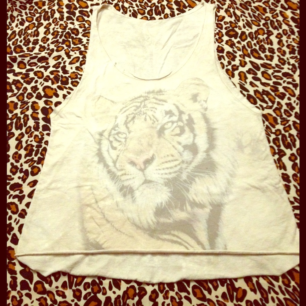 Distressed Tiger Tank - Picture 2 of 5