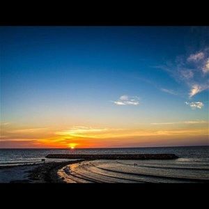 Meet your Posher, Rosaura