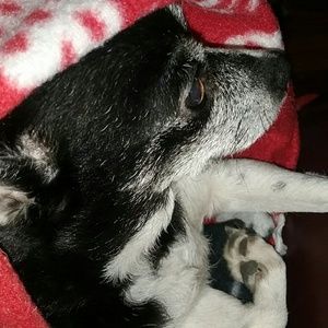 Meet your Posher, Lisa