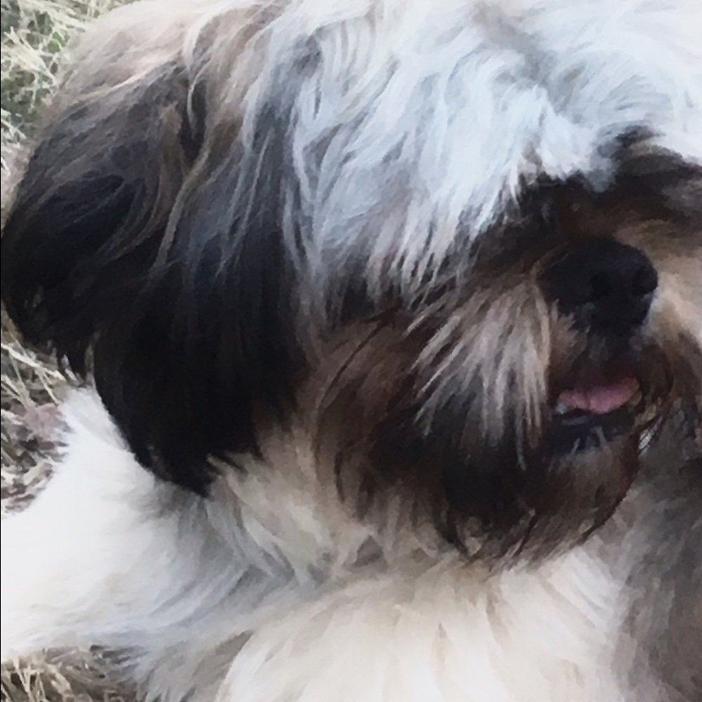 Meet your Posher, Emma