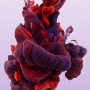 Meet your Posher, Riley