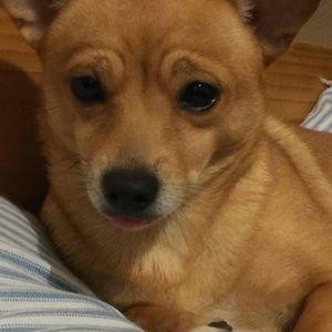 Meet your Posher, Jamie