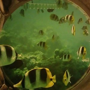 Meet your Posher, Jonni