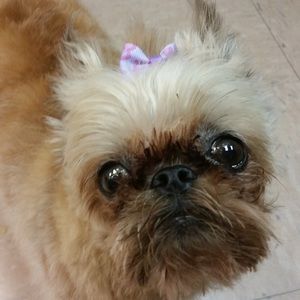 Meet your Posher, Candy