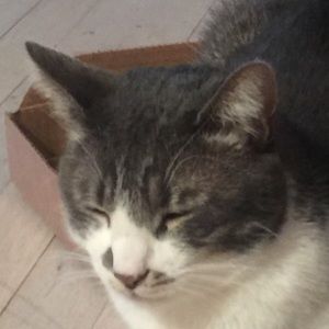 Meet your Posher, Trish