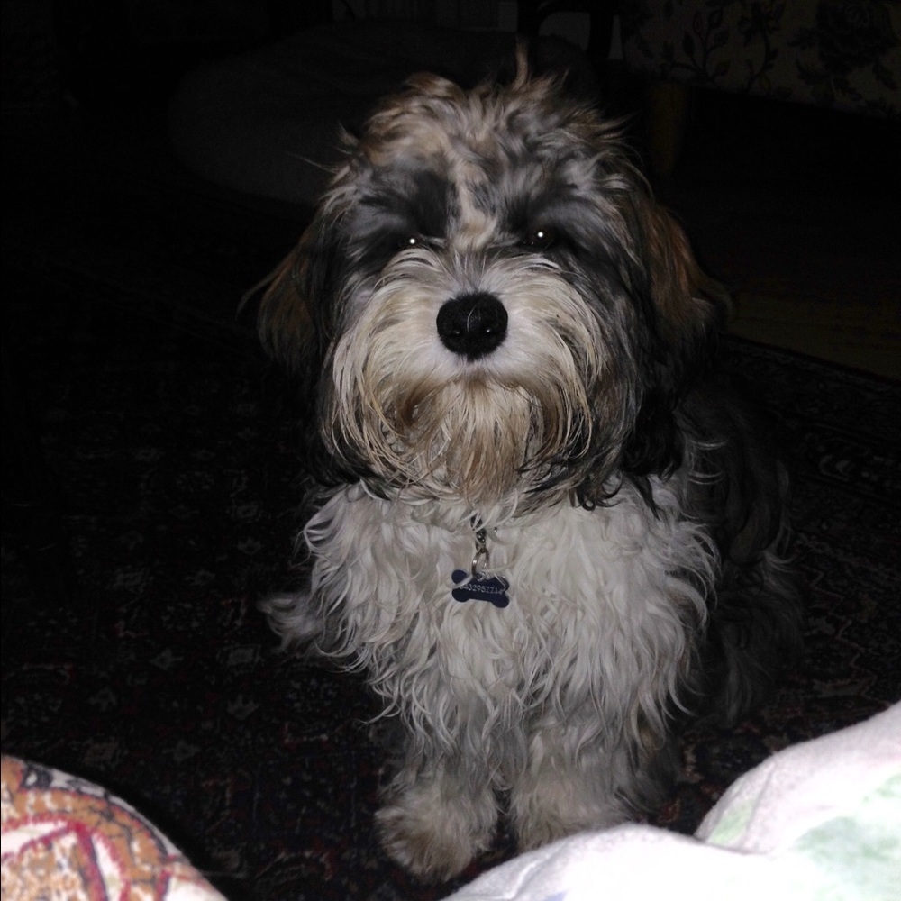 Meet your Posher, Edda