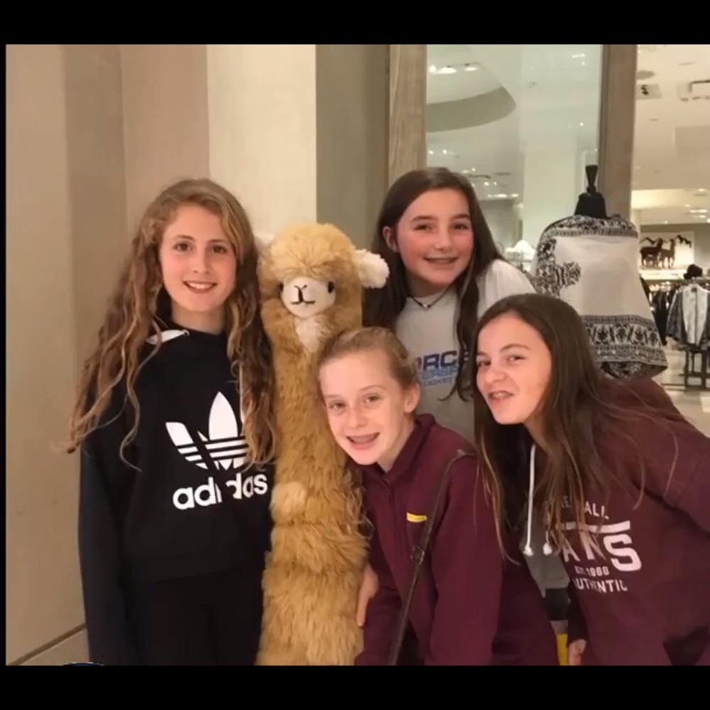 Meet your Posher, Noey