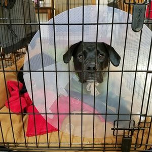 Meet your Posher, Jesse