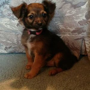 Meet your Posher, Vera