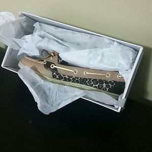 Sperrys- cheetah