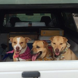 Meet your Posher, Sheri