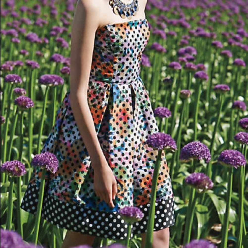 Anthropologie Polka Dot Dress.