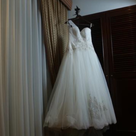 open lace back dress Elliatt Cassini Dress in Fern Green  Runway7
