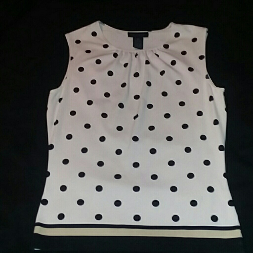 The Limited Blouse