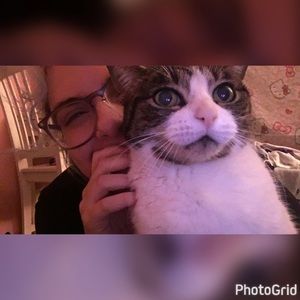 Meet your Posher, Dominique