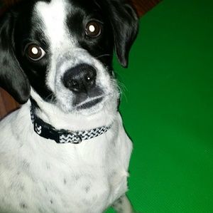 Meet your Posher, Jory