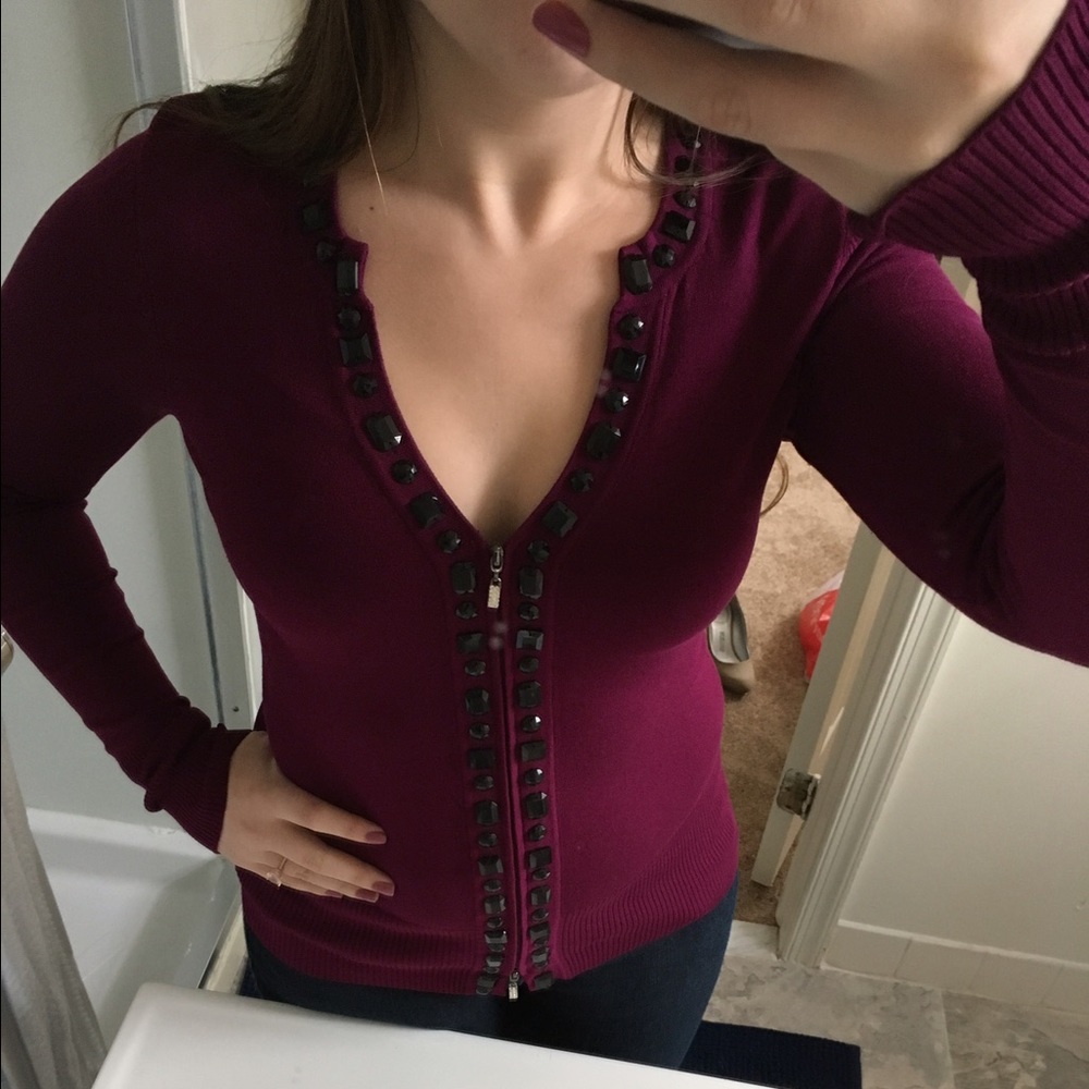 Cache Plum Sweater