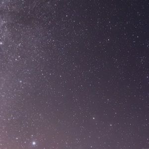 Meet your Posher, Anaya