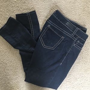 Daytrip by BKE Virgo skinny jean