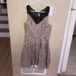 Lauren Conrad polka dot dress