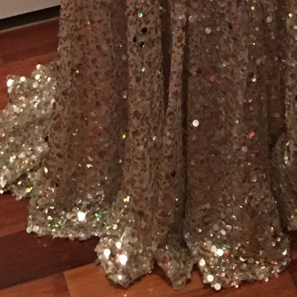 Panoply Paparazzi Prom Dress - Picture 6 of 6