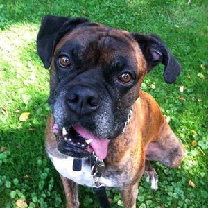 Meet your Posher, Sue