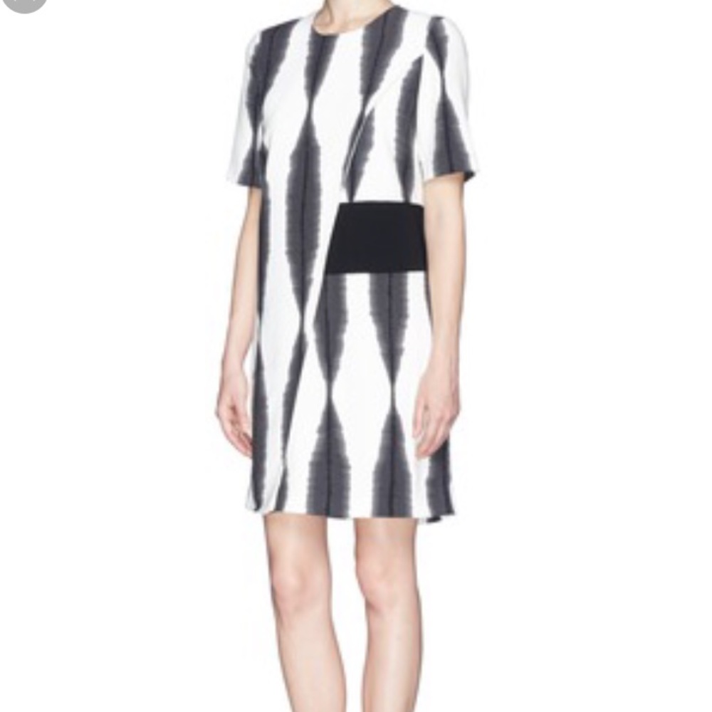 Whistles Black and White Print Dress