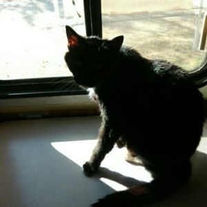 Meet your Posher, Shari