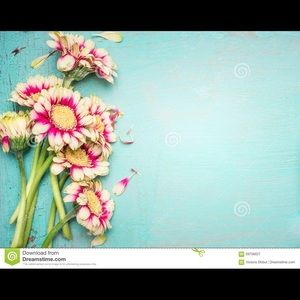 Meet your Posher, Lorin