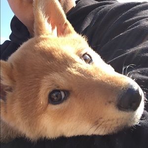 Meet your Posher, Javier