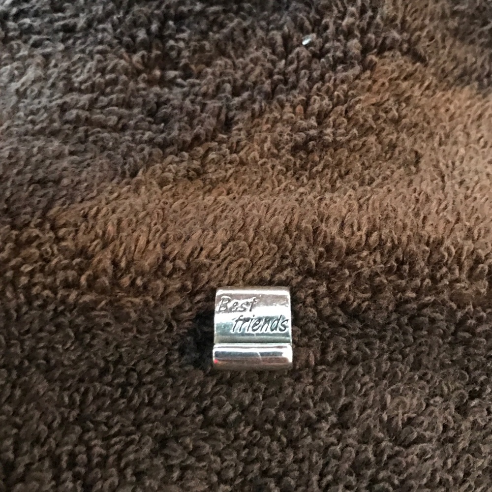 Pandora best friend charm